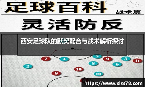 星空·综合体育